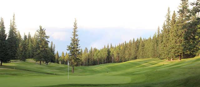 Course Image