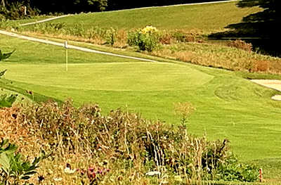 A view of a green at Lakes of the Four Seasons