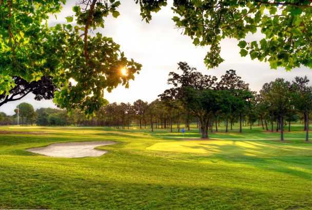 Green at Heron Lakes Country Club