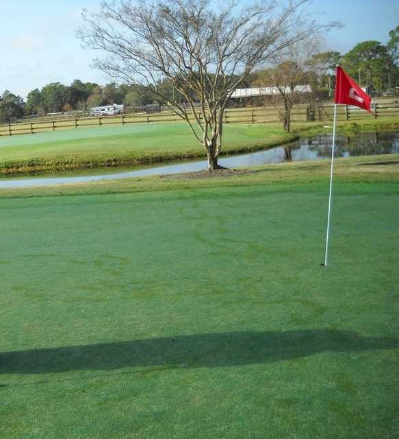 Palm Valley Golf Club - (Walking Executive)