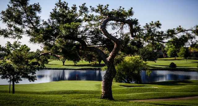 A view of a green with water coming into play at Greens Country Club