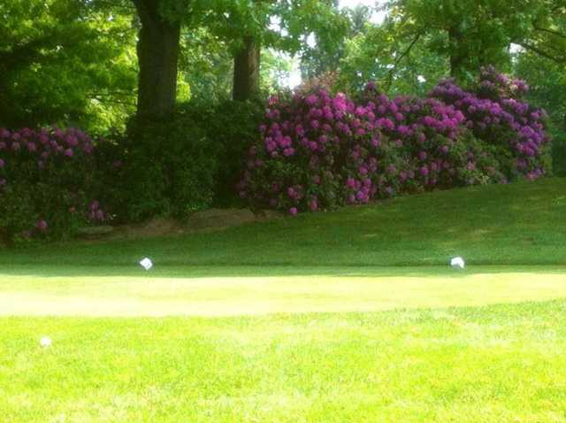 Cloverleaf Golf Course