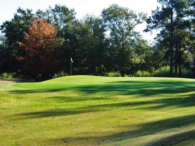Course Image