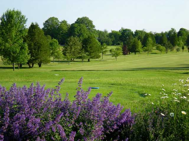 Course Image