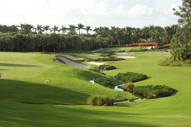 Course Image