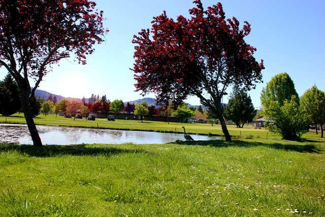Stewart Park Municipal Golf Course