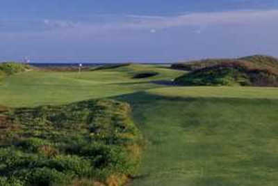 Course Image