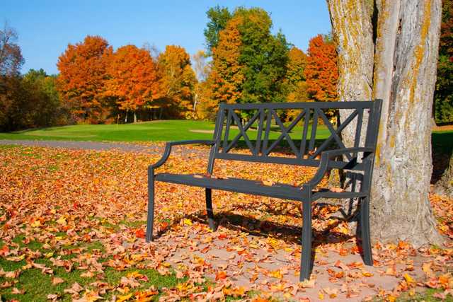 Ruttgers Bay Lake Lodge