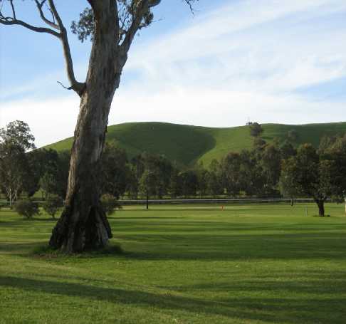 View from Alexandra Golf Club