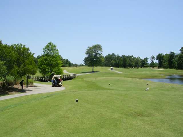Course Image