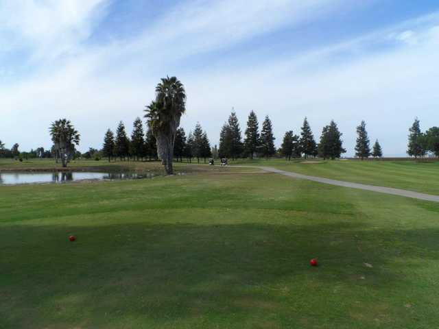Course Image