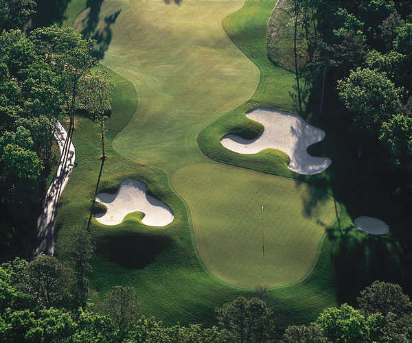 Course Image