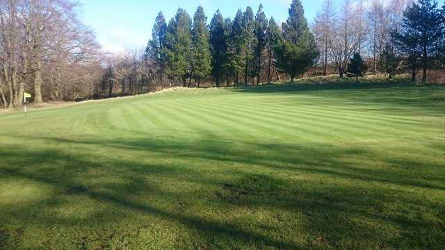 A sunny day view of a hole at Cochrane Castle Golf Club.