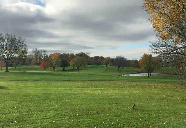 Fox Hills Golf-Strategic Fox-Par 3