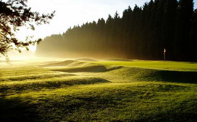 A sunny view of a green at Hollywood Golf Club