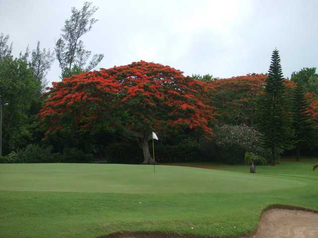 Course Image