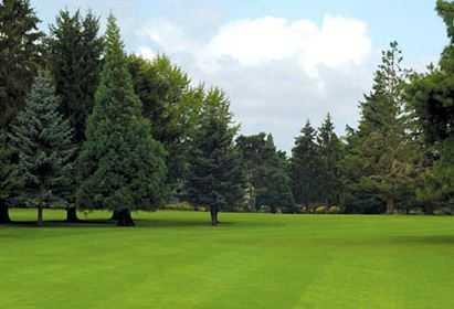 Course Image