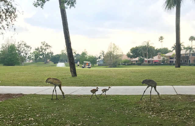 Ibis Golf & Country Club