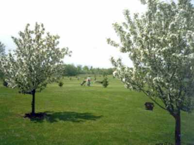 Sand Creek Golf Course & Driving Range