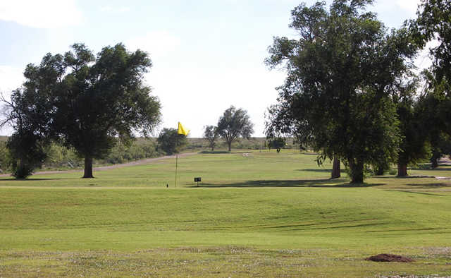 Course Image
