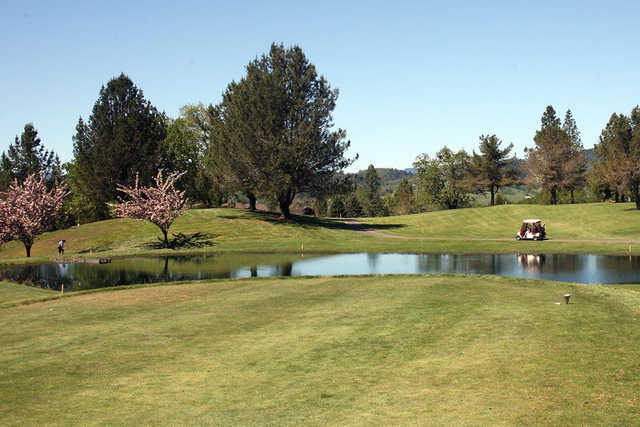 Course Image