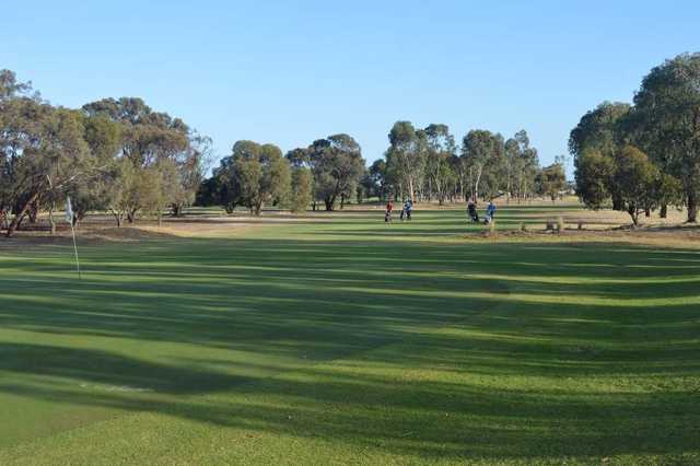 View from Mawson Lakes Golf Club