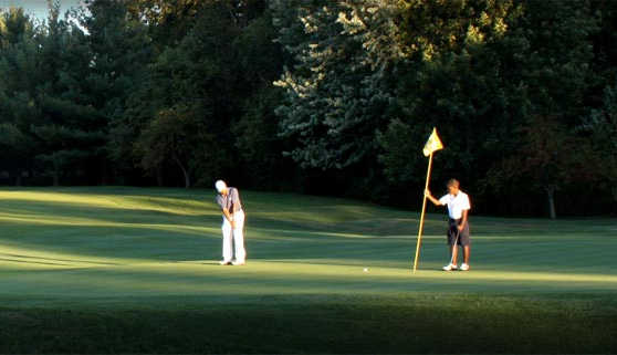 Course Image