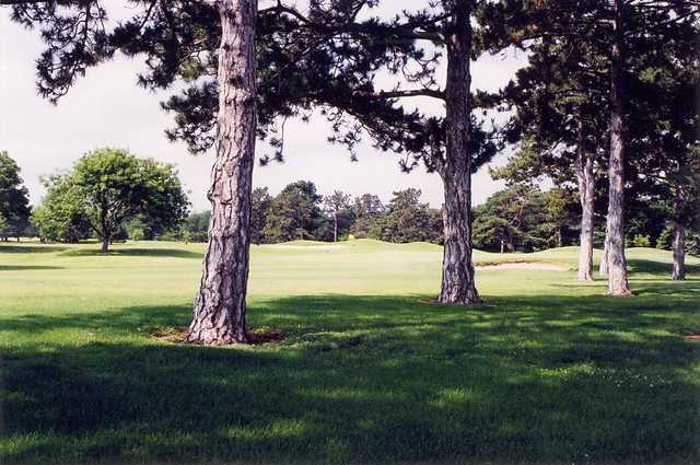 Course Image
