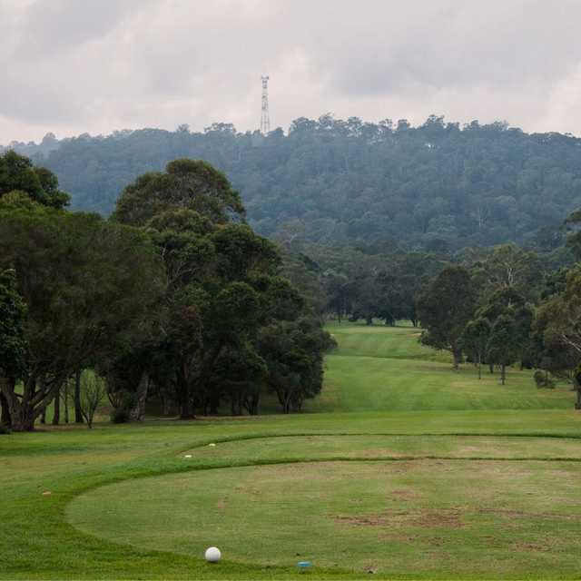 Bega Country Club