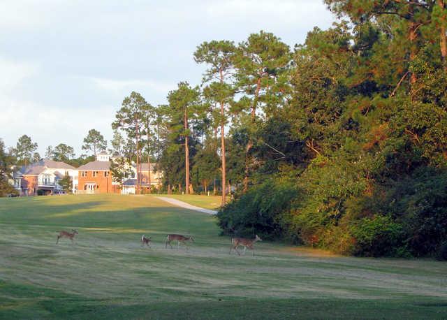 Diamondhead Country Club - Cardinal Course