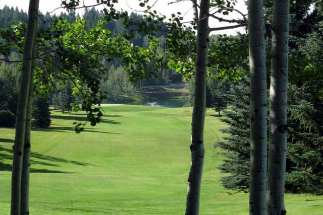 Course Image