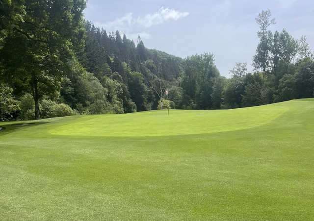 A view of a hole at Woodenbridge Golf Club.