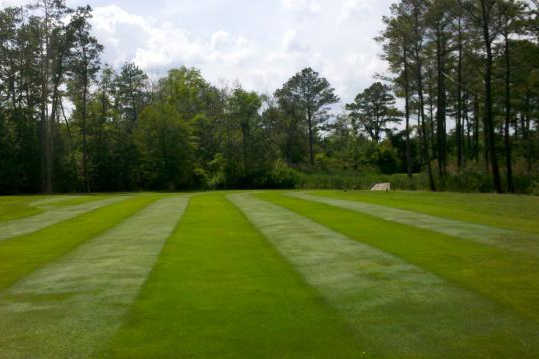 A view from Marsh Island Golf Club