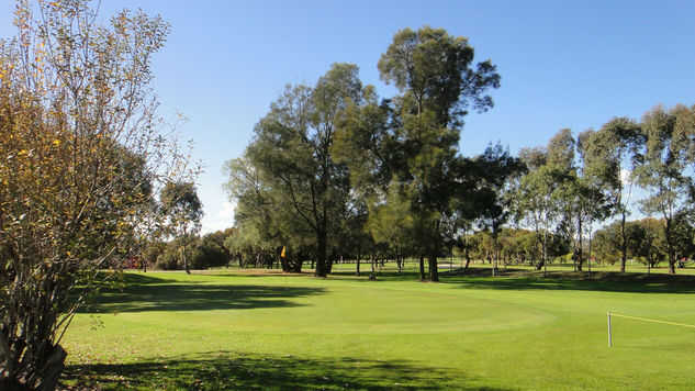 A view of green at Mawson Lakes Golf Club
