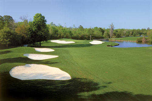 Course Image