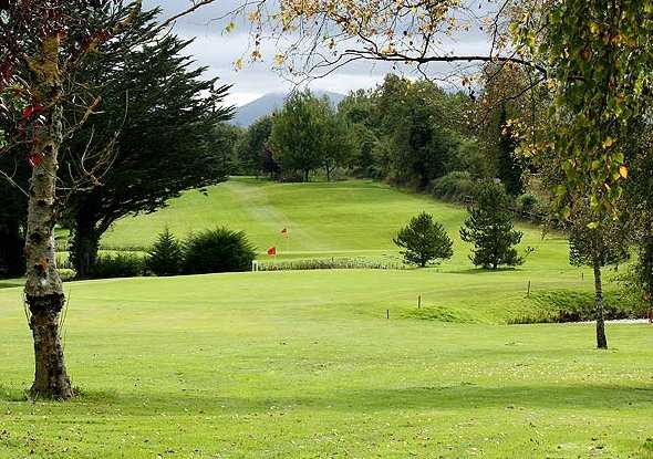 A view of a green at Ballykisteen Golf and Country Club