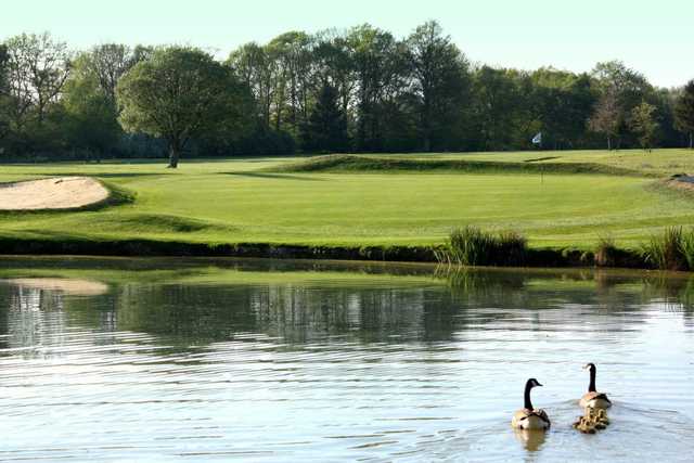 Course Image