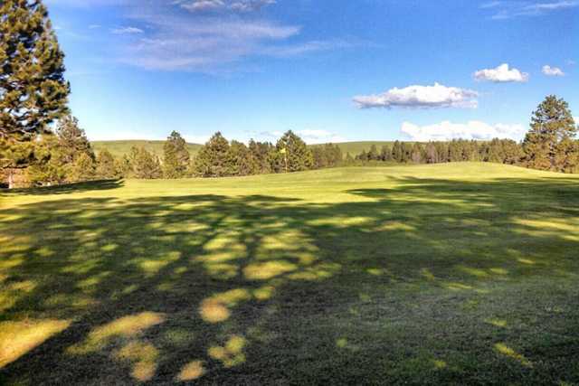 A sunny day view of a green at Pine Meadows Golf Club
