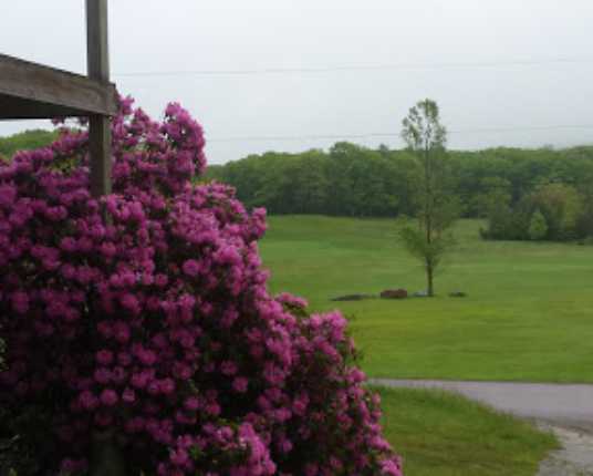 Kings Mountain Golf Course