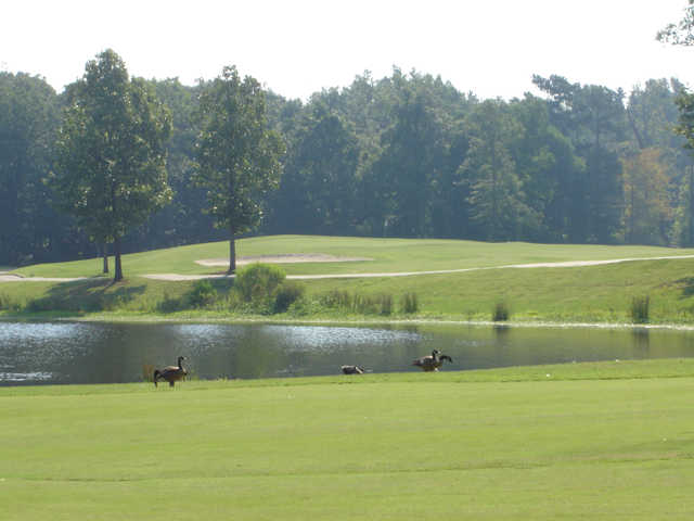 Course Image