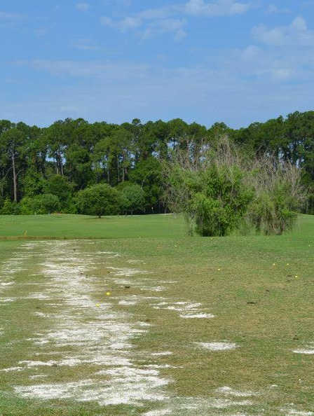 NAS Jacksonville Golf Club