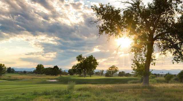 CommonGround Golf Course