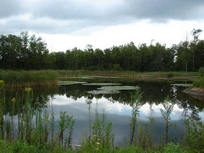 Pioneer Hills Golf Course