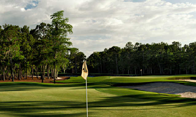Course Image