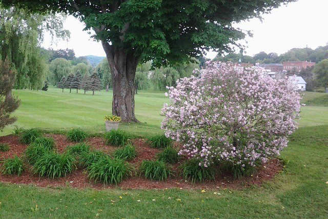 A view from Bradford Golf Club