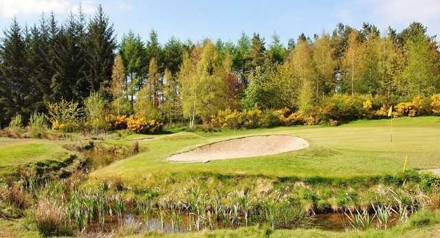 A view of the 5th green at Melrose Golf Club