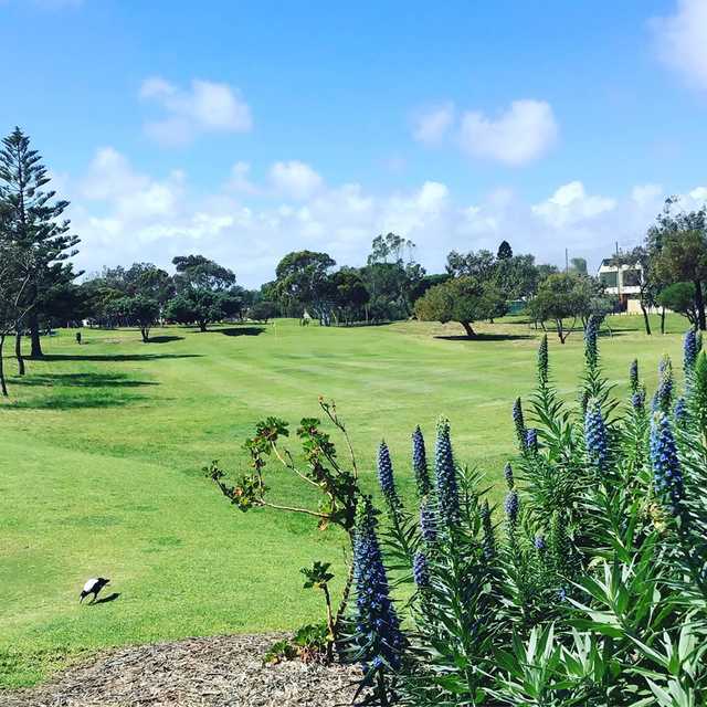 View of a green at Glanville Par 3 Golf Course