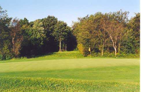 A view of a green at Etna Acres Golf Club