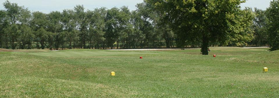 Course Image