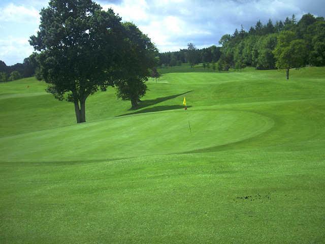 A view of a green at Templemore Golf Club